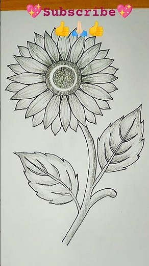🌻Sunflower Drawing🌻How to Draw a Sunflower Very Easy | Flower Drawing#shorts#drawing#pencildrawing