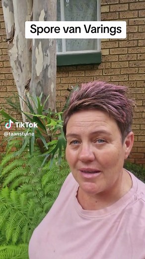 Ultimate Guide to Gardening: Tips for Planting and Caring for Ferns