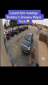 6.1K views · 235 reactions | Lizard lick towing carziest moments part #TryMe #LickLife #LizardLick #FYP #Repo #GetLicked #AmySaysSo #trutv #tv #tow #towtruck | Lizard Fan TV | Facebook