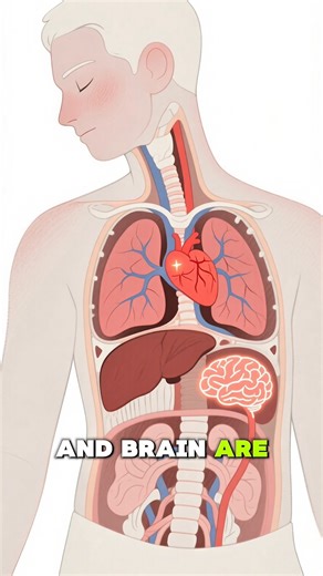 😲10 Amazing Human Body Facts You Didn’t Know | 3D Anatomy Short#shortsfeed