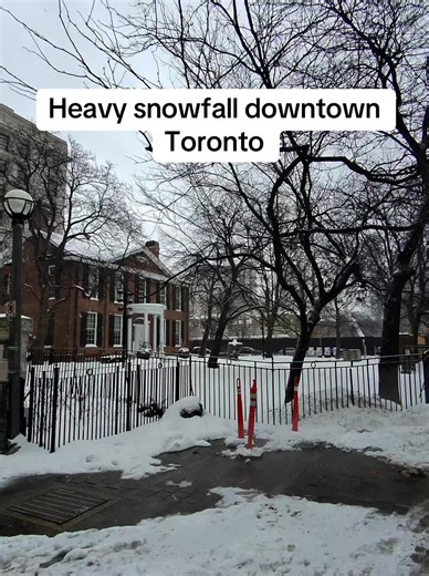 Toronto Winter Wonderland: Embracing the Snowy Magic