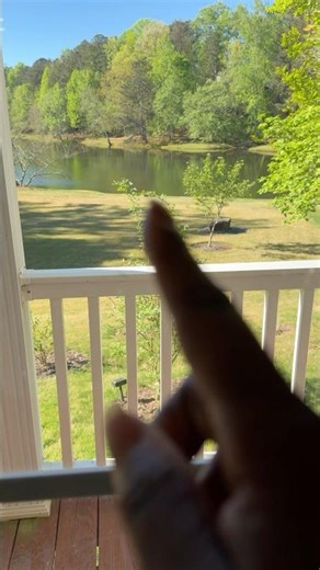 Right outside my window today