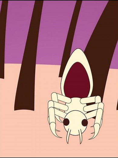 How do lice reproduce on the head ?😨