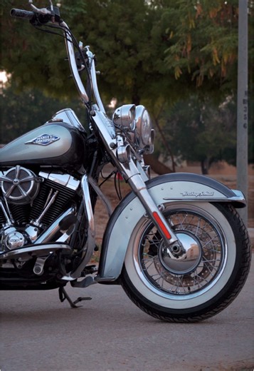 back the fuck off #harley #harleydavidson #softaildeluxe #softail #harleydavidsonmotorcycles #chopper #roadking #twincam #heritage