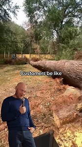 #Trees #work #job #outdoors #businessowner #fyp | C&B Tree Service