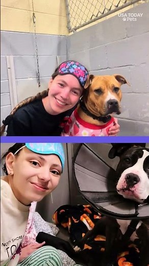 Dog rescue has unique fundraiser. See adorable slumber party.