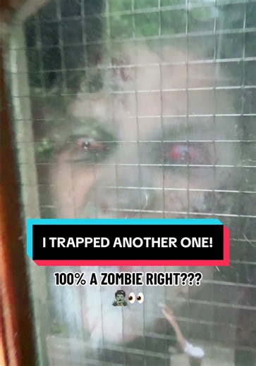 We’ve managed to grab loads of footage like this over the past month! The apocalypse is happening people! #zombieinfection #zombies #apocalypse