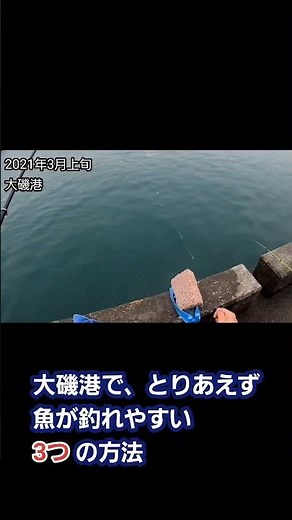 大磯港で魚を釣るための3つの方法 サビキ サバ、イワシ、小アジ狙い #shorts