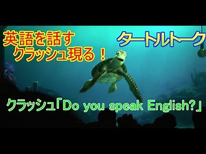 English-speaking Crush appears! [Turtle Talk] Tokyo DisneySea