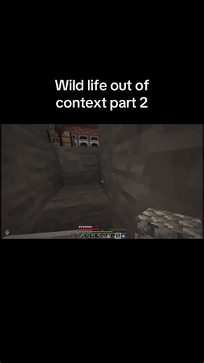 The thing they say in this series are ridiculous #lifeseriessmp #minecraft