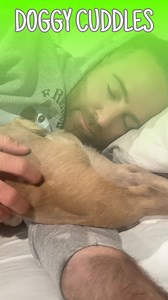 1.9M views · 9.3K reactions | Why do they always have to switch up like that?! #dogparent #dogs #dogdad #frenchbulldog #comedy | somefrenchienamedapollo | Facebook