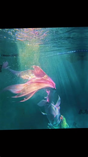 Exploring Mermaid Fantasy in the Deep Pool