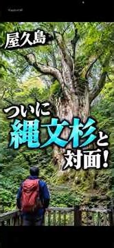 【屋久島】ついに縄文杉と対面！巨大な姿に圧倒された🌳 #4代目kenken #おすすめ #旅行 #屋久杉 #屋久島 #登山 #観光