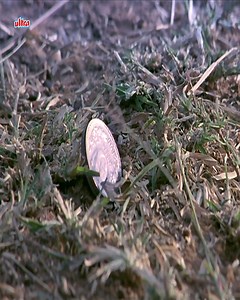 Aakrosh (2010) - Bollywood Blockbuster Hindi Movie 4K | Ajay Devgn, Akshaye Khanna, Bipasha Basu | Ultra Filmy Duniya