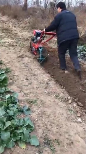 Mini Tiller Machine in Action | Soil Cultivation, Weeding & Ploughing Made Easy #agricultureindia