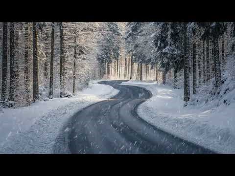 Snow Falling on a Silent Road | Long Winter Snow Sounds for Focus and Sleep