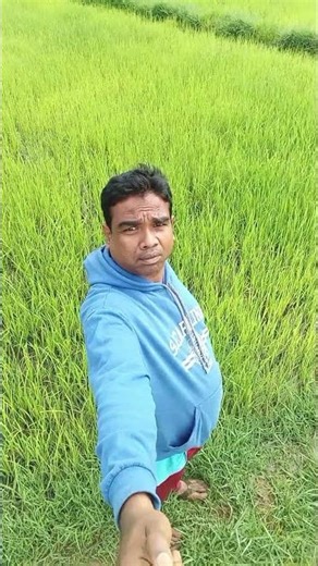 koraputia new viral video#dinabandhu#shorts #facebook#likeforlikes#viral#seo #lsi#trendingreels#SERP