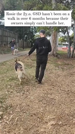 If you want to have a better bond with your puppy, Then this is for you 👇👇 High-Quality Dog Training Course To Improve A Dog's Intelligence And Behavior, Plus Easy Instructions For Training >>>> @smartdog.train Here is some information to help get you started:⁠ ♦️ Start a Dog Obedience Program: Learn how to set a basic foundation before you begin to train your dog. ♦️ Train Your Dog Using Games: Training your dog should be fun! Everyone knows it's easier to learn when you are having a good tim