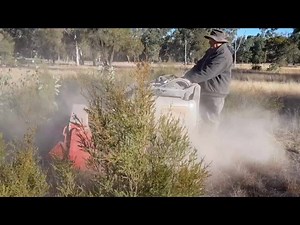 2.1K views · 44 reactions | The Dingo Jungle Tamer is just that. Will effectively clear growth up to 40mm thickness. Tame your Jungle today. Dingo, No Drama | Dingo Australia | Facebook