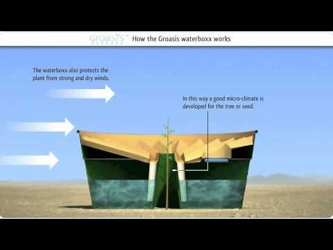 How does the Groasis waterboxx work against desertification? (With music)