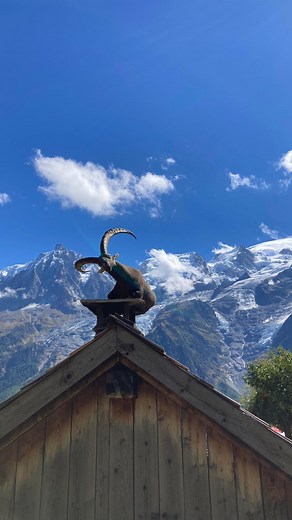 147 reactions · 15 shares | It’s on Instagram or it never happened?...