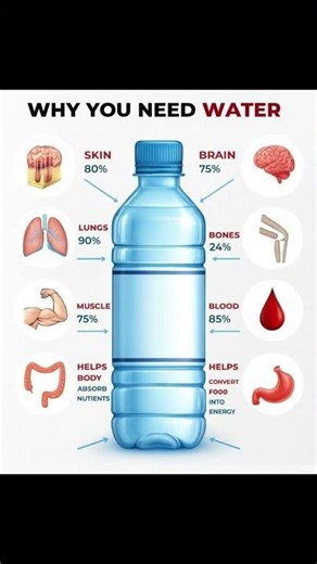 Why Your Body Needs Water | Powerful Hydration Facts