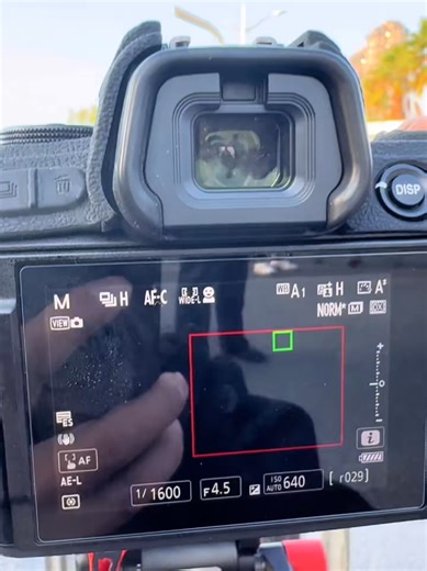 Master Continuous Shooting Techniques for Stunning Photos