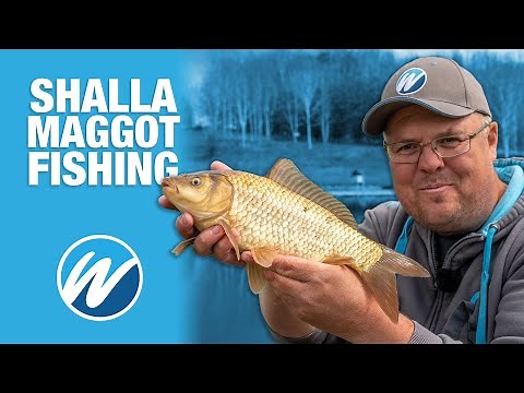 Maggots Shallow for F1's | In-Session | Jamie Hughes
