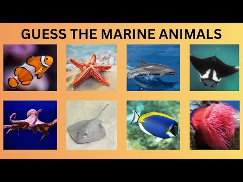 Guess the Marine Animals – Fun Ocean Quiz Challenge