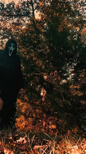 #ghostface #fypシ #horrortok #ghostfacecult #fypシ゚viral