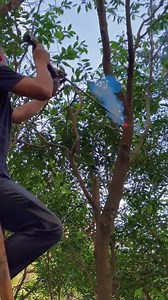 163K views · 51 reactions | The most amazing inventions and devices 1 | Samson184 | Facebook