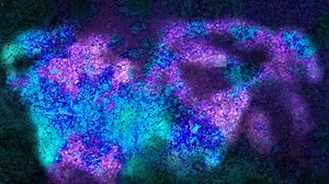 Avatar Bioluminescence