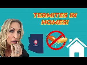 Termites in Arizona | Tips from a Pest Professional