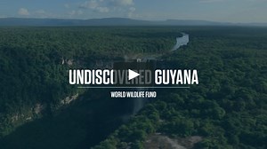 Undiscovered Guyana
