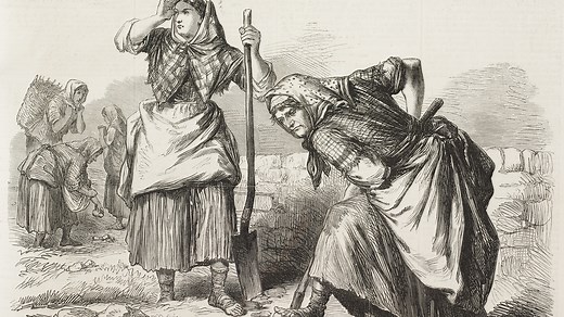 A history of women's land rights in Ireland