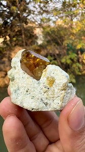 This attractive specimen features a well-formed Sphene (Titanite) crystal beautifully perched on a natural matrix. The crystal displays a rich golden-honey to olive color with excellent translucency and sharp crystal faces. Its classic wedge-shaped habit is clearly visible, making it instantly recognizable and highly desirable among collectors. ✨ Key Highlights • Sharp, well-defined sphene crystal • Attractive golden color with natural luster • Excellent crystal-on-matrix presentation • Collecto