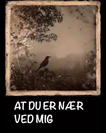 AT DU ER NÆR VED MIG Du kan altid være nogens lys. Ligesom nogen kan eller måske allerede er det for dig. Så simpelt er det. Det kan man så lave en enkel, stille sang om… TEKST, MUSIK & AI-VIDEO brian jensen felde ORKESTER ai ai captain & bj felde (bas) #kærlighed #danskmusik #komponist #sangskriver #nærveddig | Brian Jensen Felde