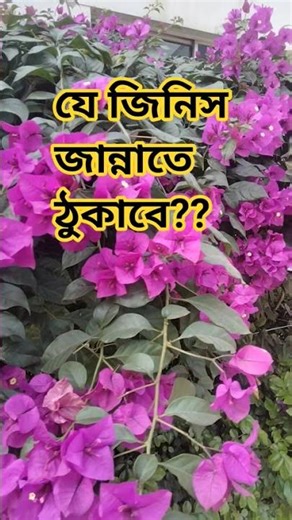 শুনুন যে জিনিস জান্নাতে ডুকাবে #love #trending #motivation #shorts