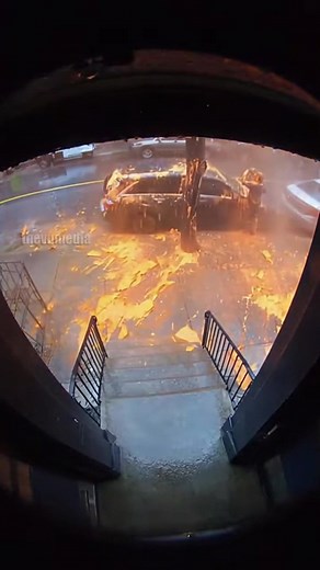 1M views · 15K reactions | Ultimate Porch Pirate Trap That Actually Works! #porchpirate #security #diy | VuTube | Facebook