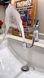 Transform your tap in seconds with TapMate – flexible, splash-free, and fits Aussie faucets. | OpenJoy