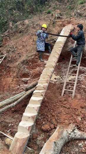 Watch Us Build Wooden Steps Purely by Hand