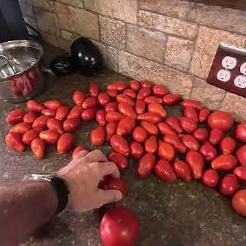 Fresh Tomato Sauce from the Garden! #farming #preservation #sustainbility
