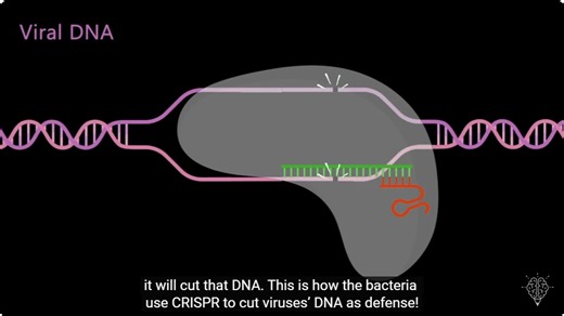 But what is CRISPR-Cas9? An animated introduction to Gene Editing.