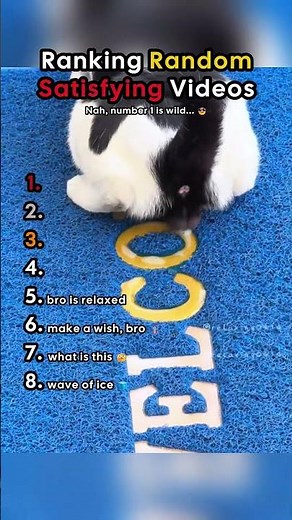 Ranking Random Satisfying Videos 😊 #best #funny #viral #tiktok