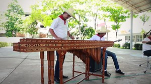 Queridos hermanos, que tengan un excelente fin de semana, aquí les dejo la canción de moda “despacito”, interpretada en marimba por la compañía de danza y música del COBATAB. ¿Qué les parece? | Jaime Mier y Terán