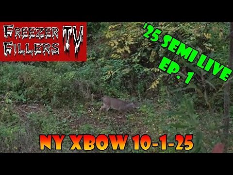 🦌 NY Crossbow Hunting! Opening Day 10-1-25! Freezer Fillers TV!