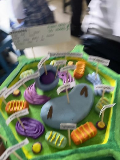 Engaging Plant Cell Projects for Grade 7 Students