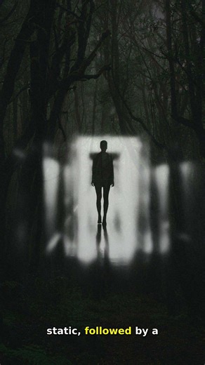 👁️ If you see this, run: The antique radio in my attic had been silent for decades, its wooden ex...