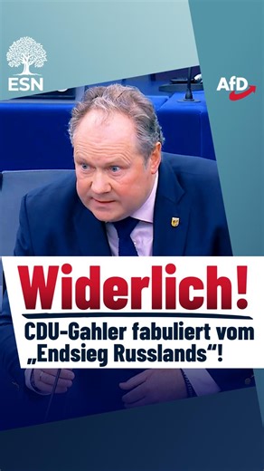 Sie drehen völlig durch! | AfD im EU-Parlament