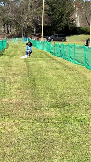 Puppy-Sized Fun Run Adventure for Spud